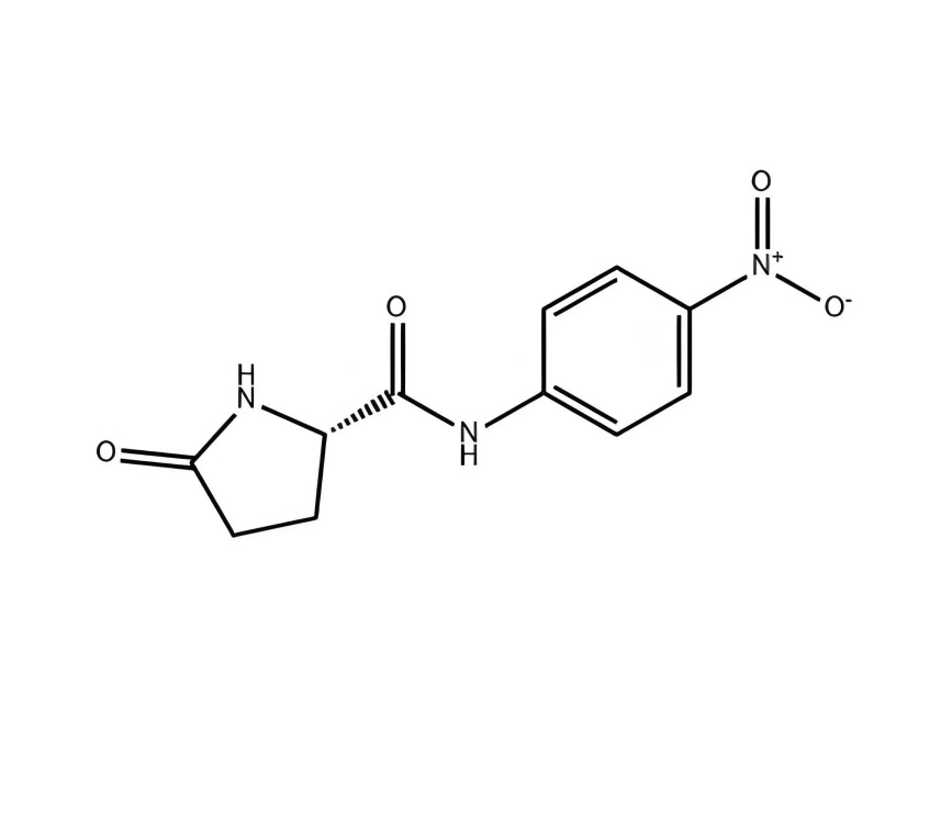 PYR-PNA